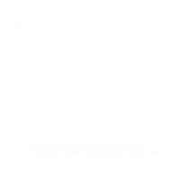 haarlem bij de les logo